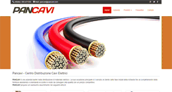 Desktop Screenshot of pancavi.com