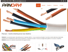 Tablet Screenshot of pancavi.com